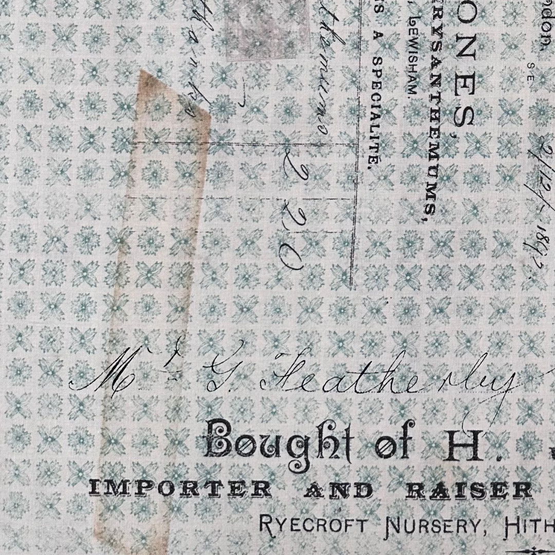 PWTH094 | Tessuto Americano Tim Holtz in Cotone 110 cm | Horticulture