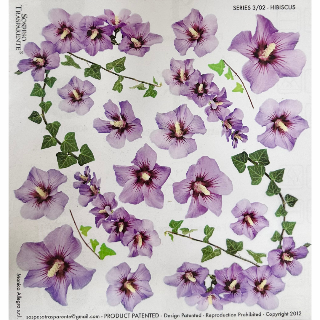 Pellicola Modellabile Sospeso Trasparente Hibiscus – Monica Allegro