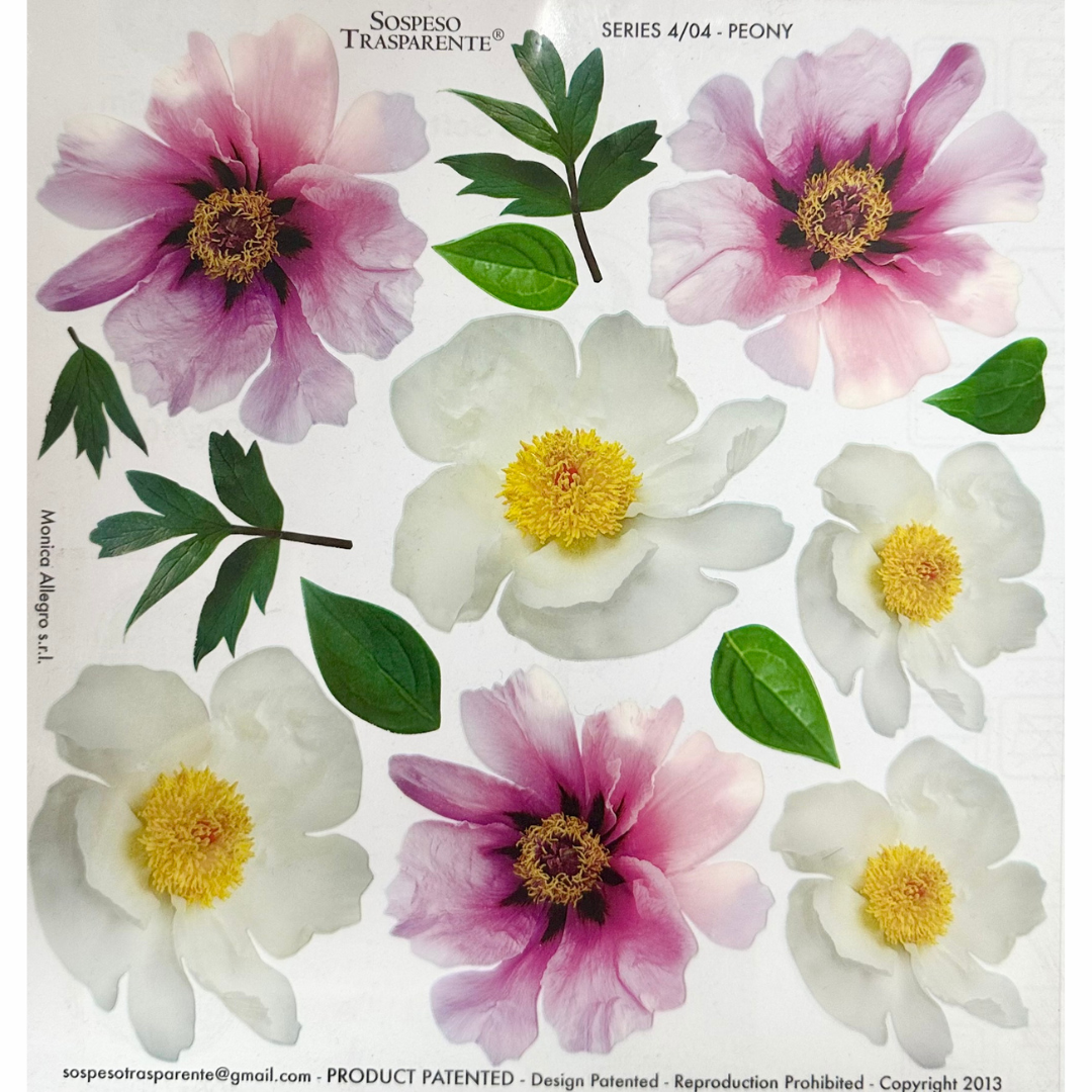 Pellicola Modellabile Sospeso Trasparente Peony – Monica Allegro