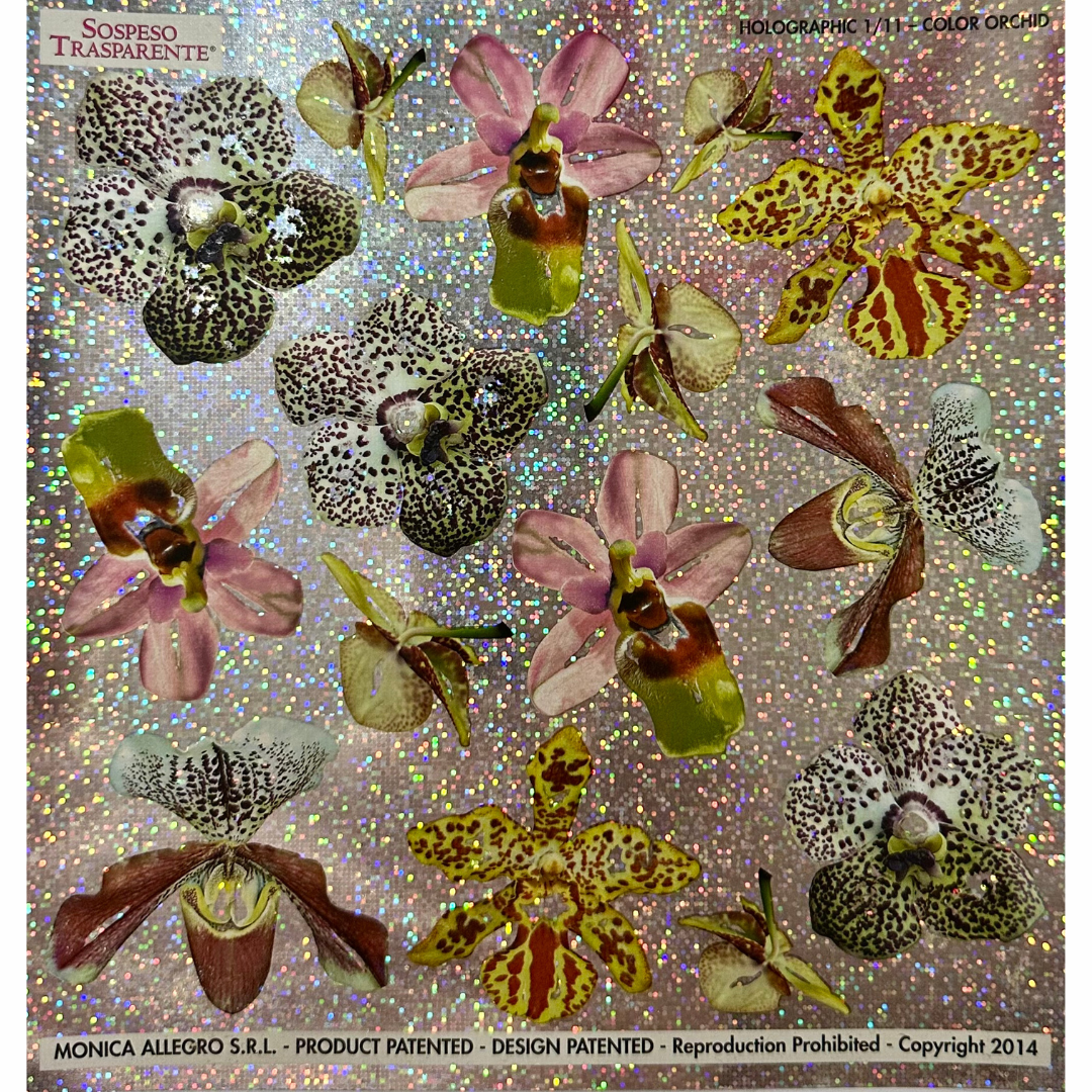 Pellicola Olografica Sospeso Trasparente Orchid – Monica Allegro