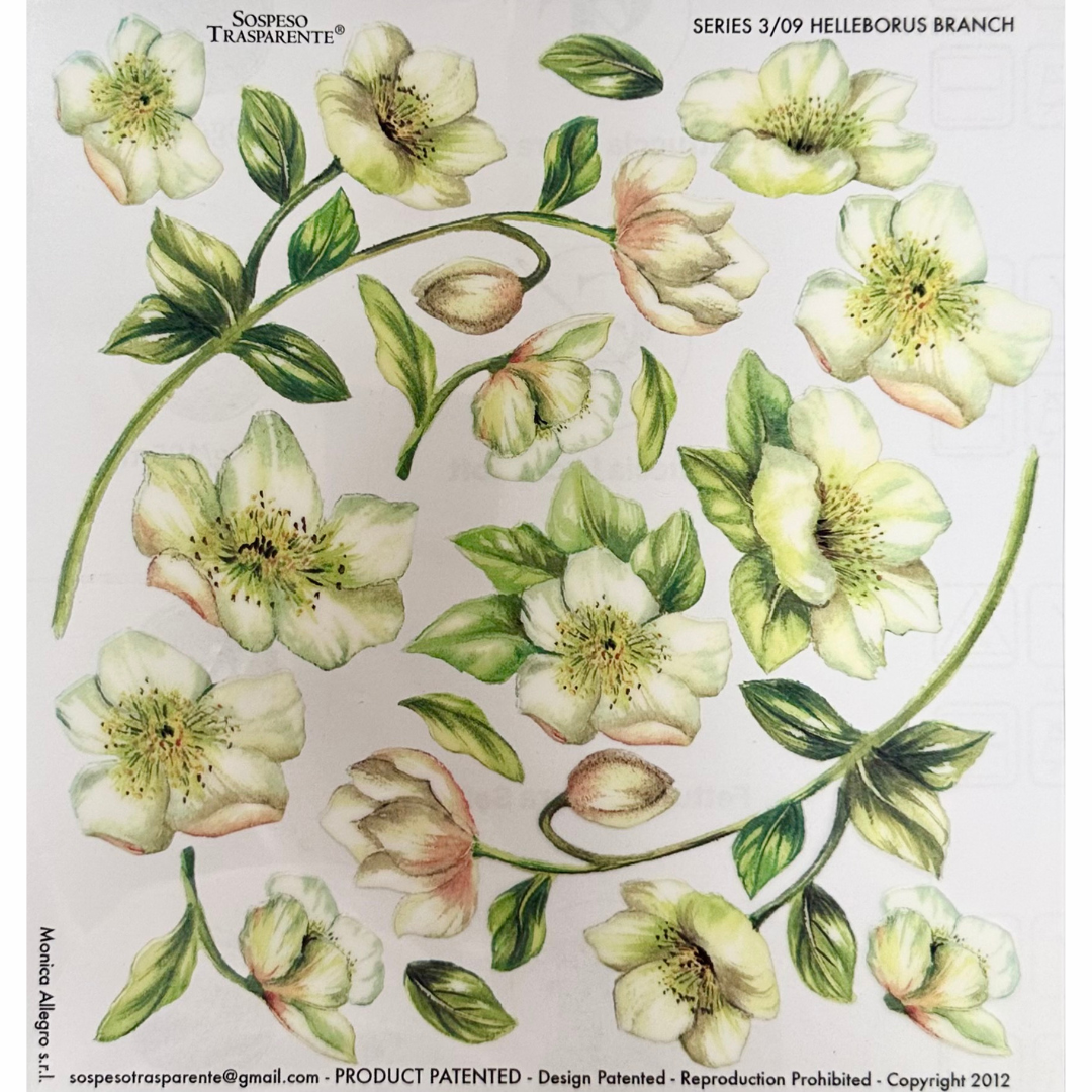 Pellicola Modellabile Sospeso Trasparente Helleborus – Monica Allegro