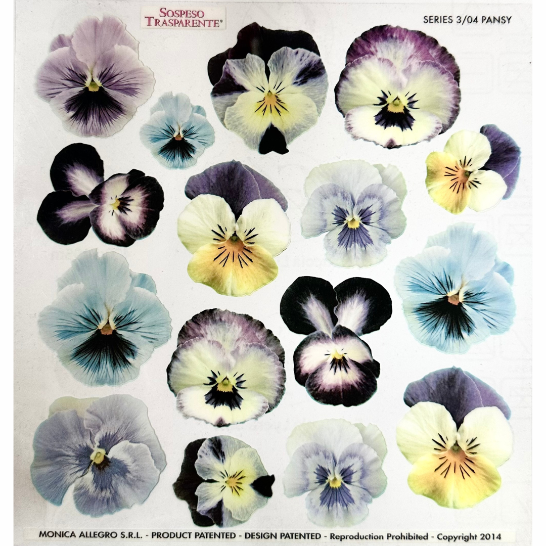 Pellicola Modellabile Sospeso Trasparente Pansy – Monica Allegro