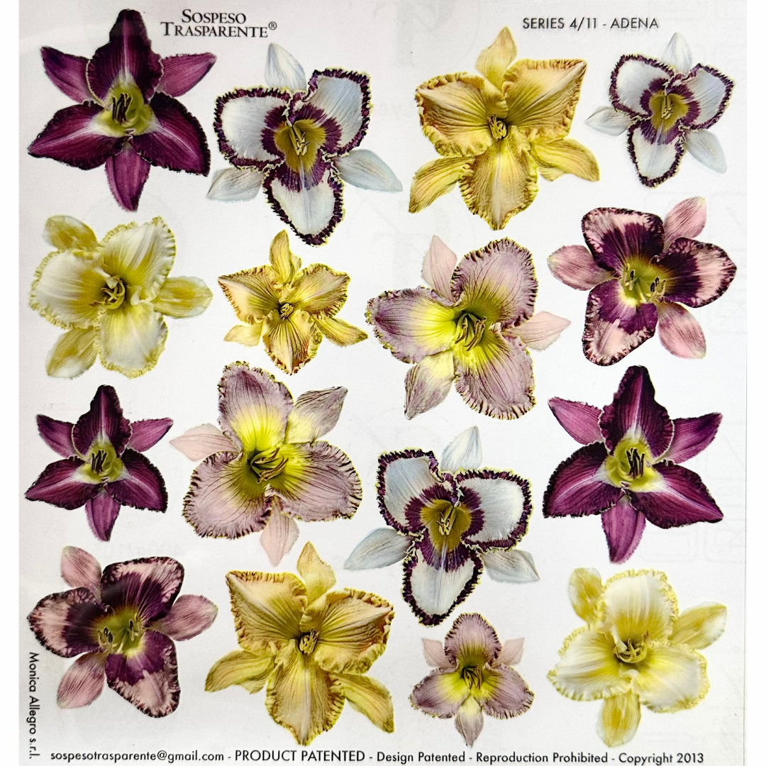 Pellicola Modellabile Sospeso Trasparente Adena – Monica Allegro