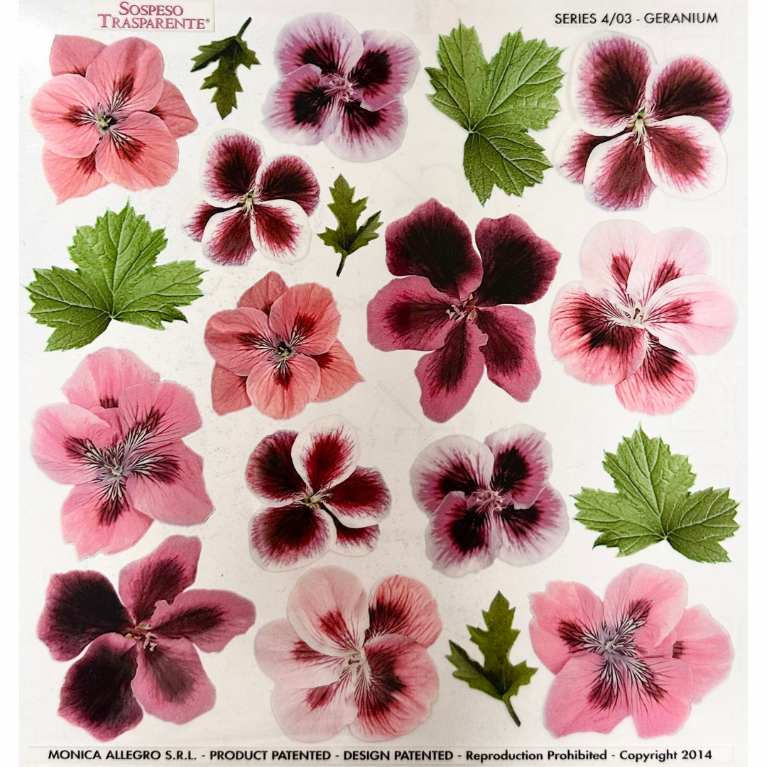 Pellicola Modellabile Sospeso Trasparente Geranium – Monica Allegro
