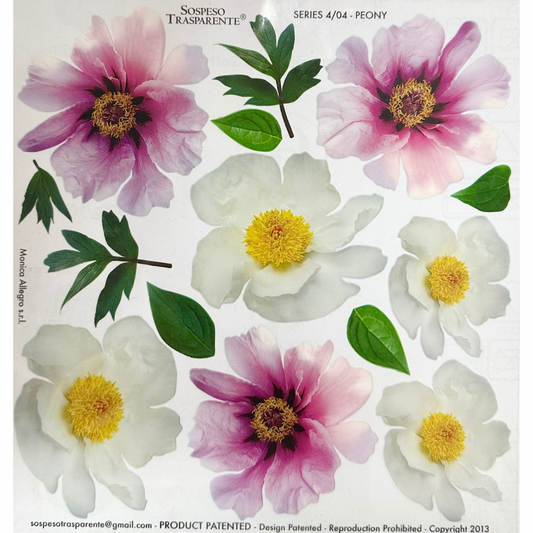 Pellicola Modellabile Sospeso Trasparente Peony – Monica Allegro