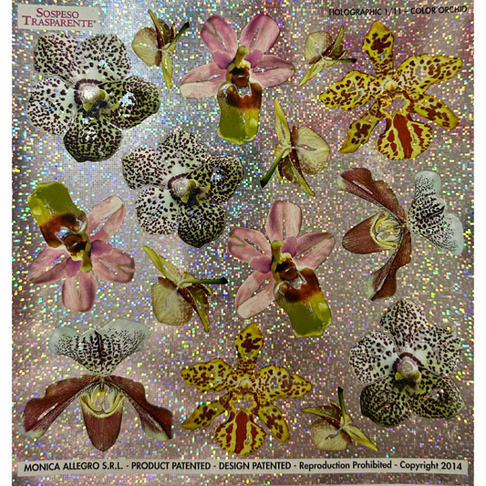 Pellicola Olografica Sospeso Trasparente Orchid – Monica Allegro