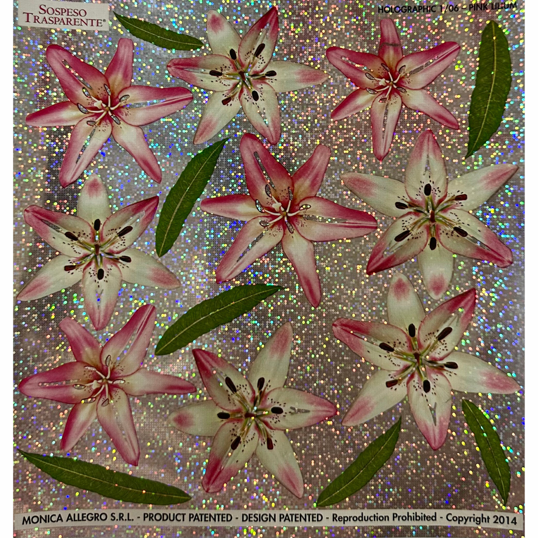 Pellicola Olografica Sospeso Trasparente Lilium – Monica Allegro