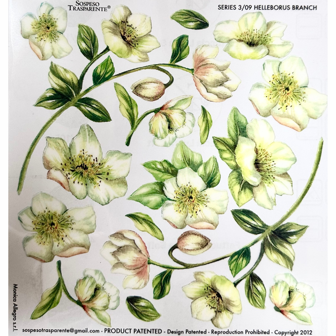 Pellicola Modellabile Sospeso Trasparente Helleborus – Monica Allegro