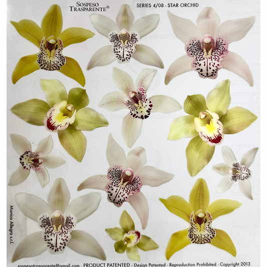 Pellicola Modellabile Sospeso Trasparente Orchid – Monica Allegro
