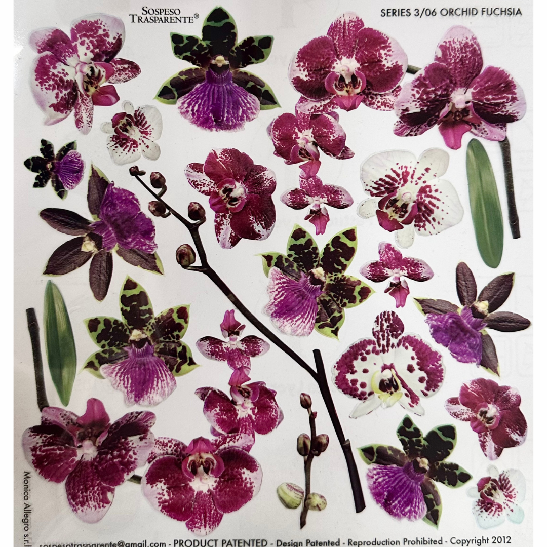 Pellicola Modellabile Sospeso Trasparente Orchid Fuchsia– Monica Allegro