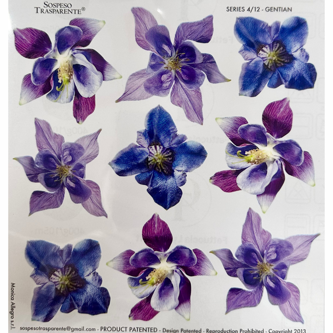 Pellicola Modellabile Sospeso Trasparente Gentian – Monica Allegro