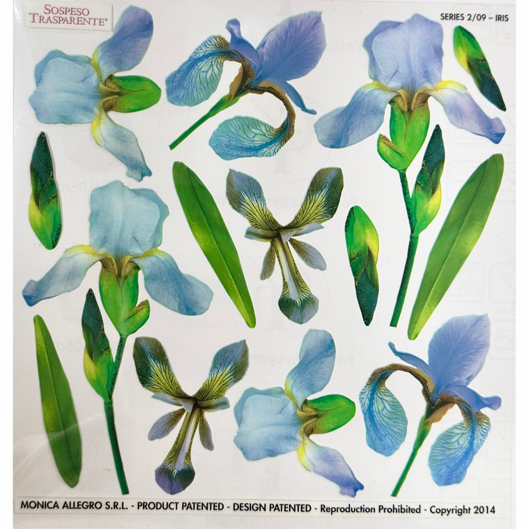 Pellicola Modellabile Sospeso Trasparente Iris – Monica Allegro
