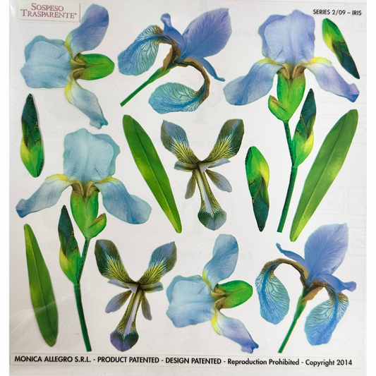 Pellicola Modellabile Sospeso Trasparente Iris – Monica Allegro